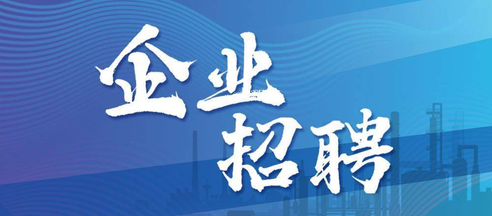 2024年12月17日 第24页