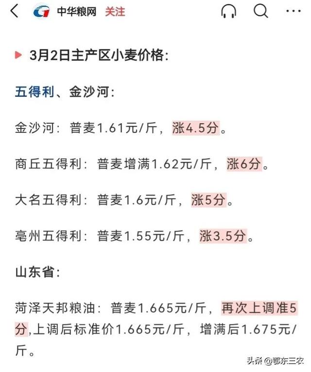 今日小麦价格动态，最新消息及影响因素分析