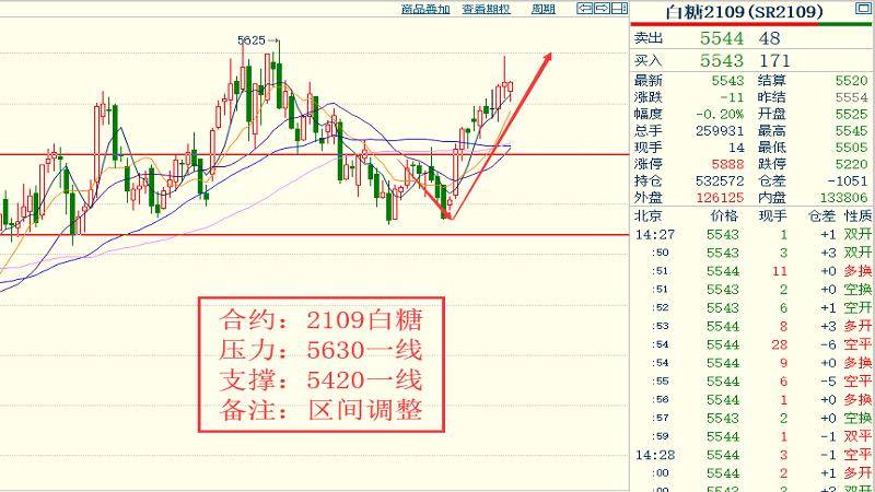 2024今晚香港开特马,有效解答解释落实_入门版20.261