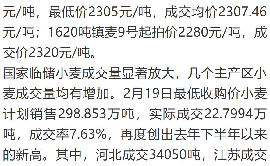 全球小麦市场最新价格动态，影响因素与趋势分析