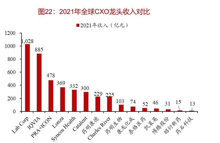 2024新瑰精准正版资料,数据驱动决策执行_6DM83.885