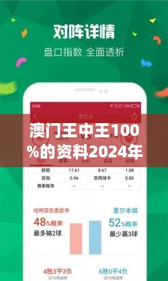 澳门王中王100%期期中,稳定设计解析_suite94.255