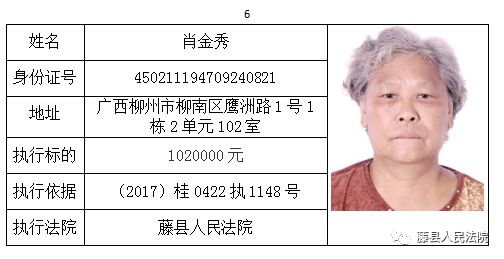 广西失信人名单最新概况与影响深度解析