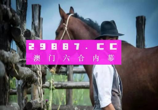 澳门一肖904小龙女,专业执行方案_运动版75.529