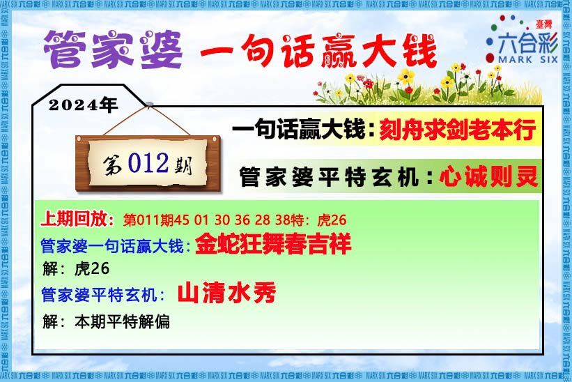 管家婆的资料一肖中特176期,综合解答解释定义_轻量版42.233