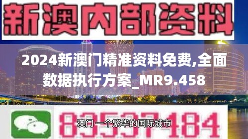 2024新澳门王中王正版,资源实施方案_工具版81.866