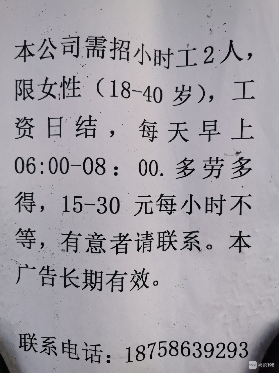 中山最新临时工招工信息解析与相关探讨