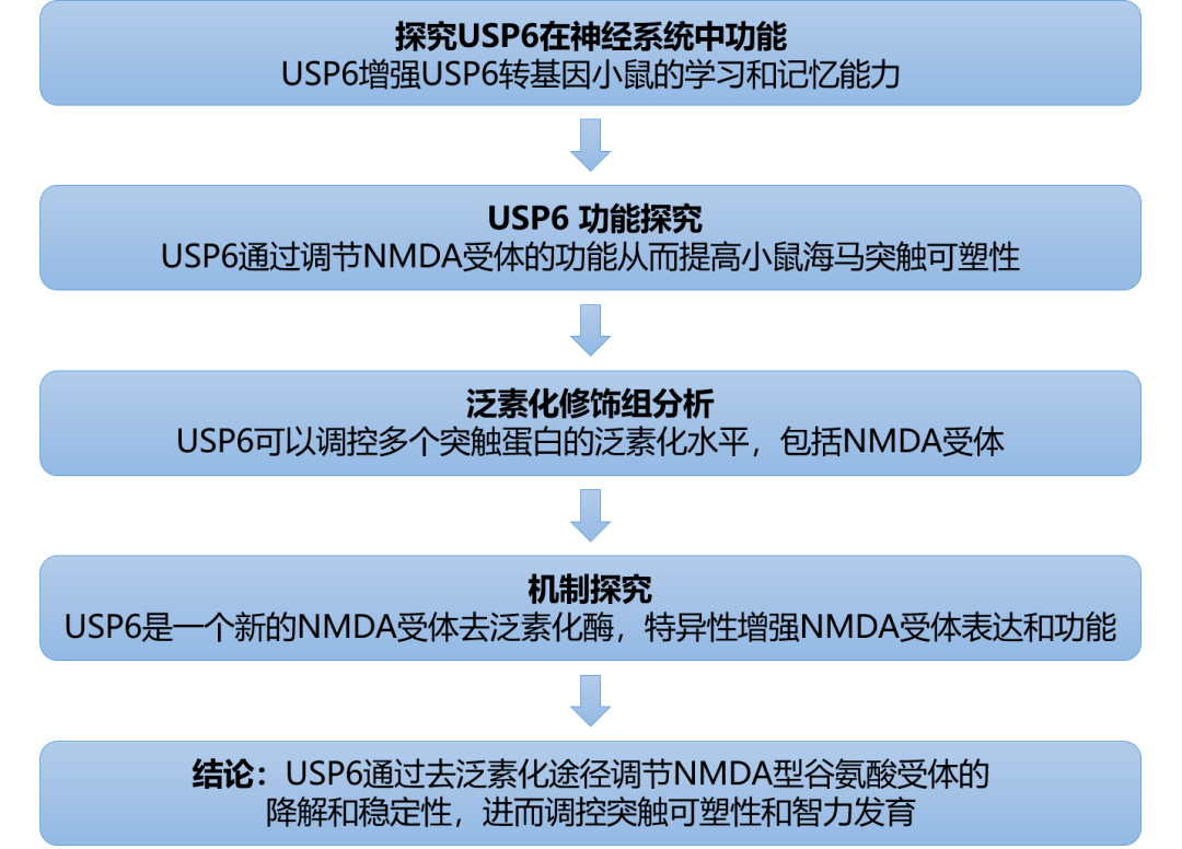 正版资料免费大全最新版本优势,数据解析支持方案_特供版93.614