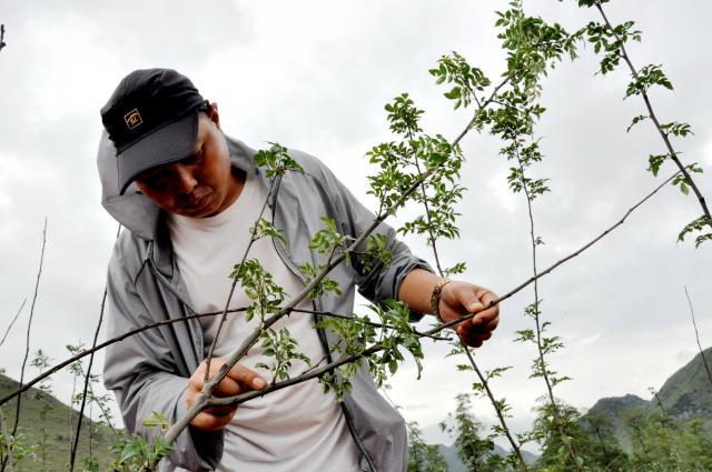 幸福来敲门最新一期，深度探索幸福的真谛