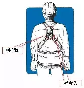 安全带最新国家标准及其实际应用