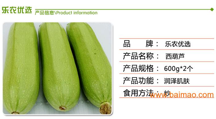 西葫芦价格最新行情报告