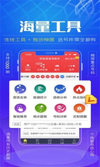 王中王资料免费公开,灵活性方案解析_iShop88.441