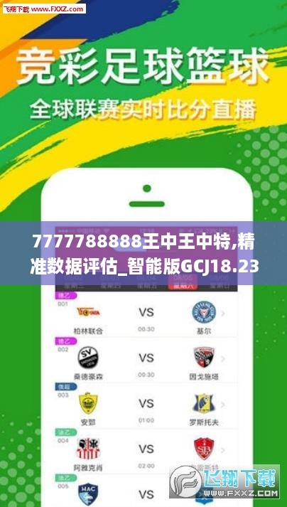 7777788888王中王中王特色功能,深入数据执行应用_4DM11.22