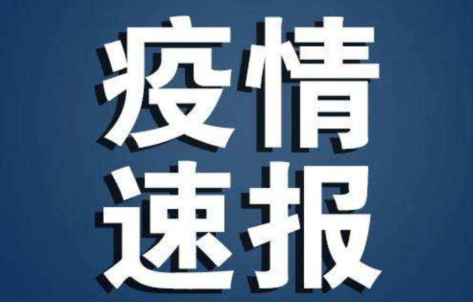 全球抗击新型肺炎疫情的新进展与挑战，最新消息概览