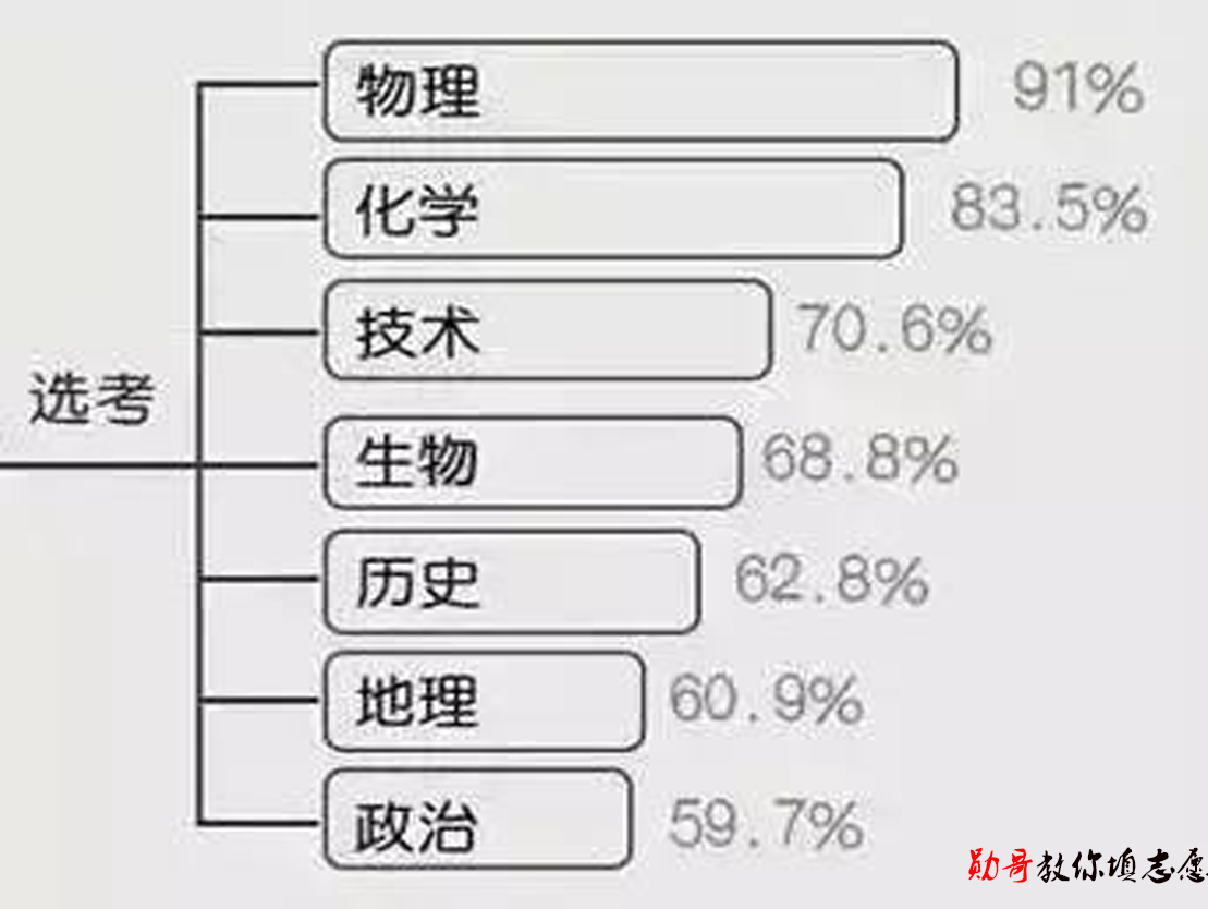 高考最新动向，变革与挑战中的机遇探索