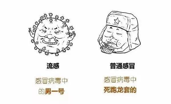 最新流感症状、影响及应对策略详解