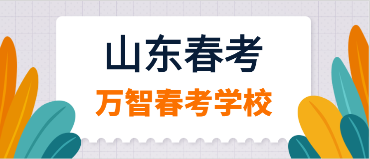 山东新高考改革，内容、影响与应对策略