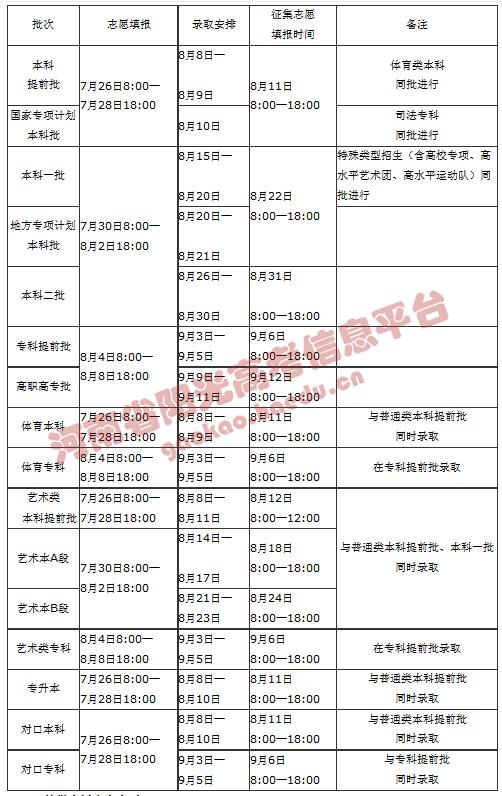 安徽高考录取最新动态，教育进步中的新篇章